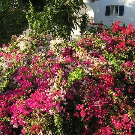 Chanioti بيت ضيافة باروس