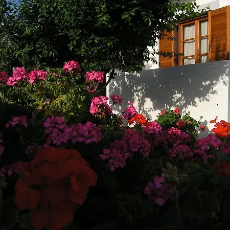 Chanioti بيت ضيافة