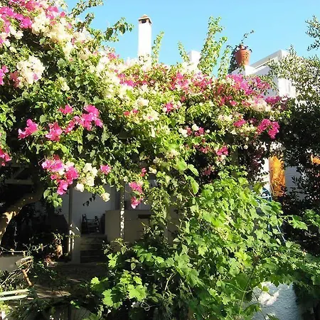 Chanioti Parikia (Paros)
