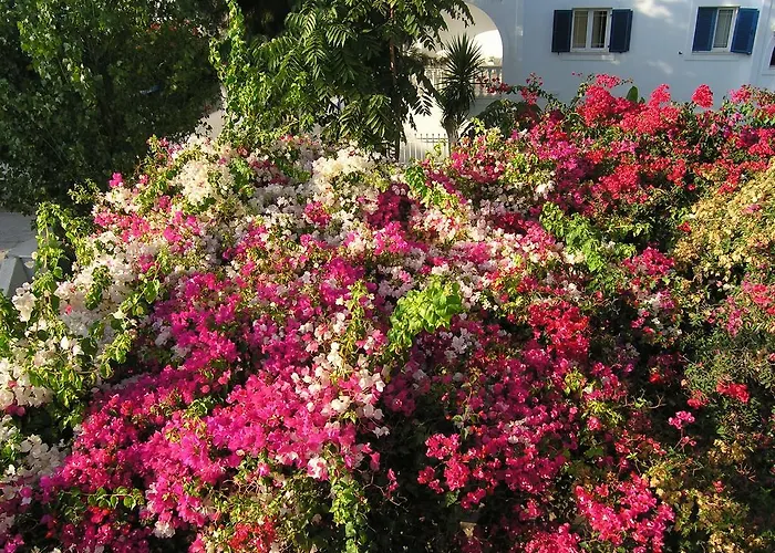 Chanioti Gasthuis Páros